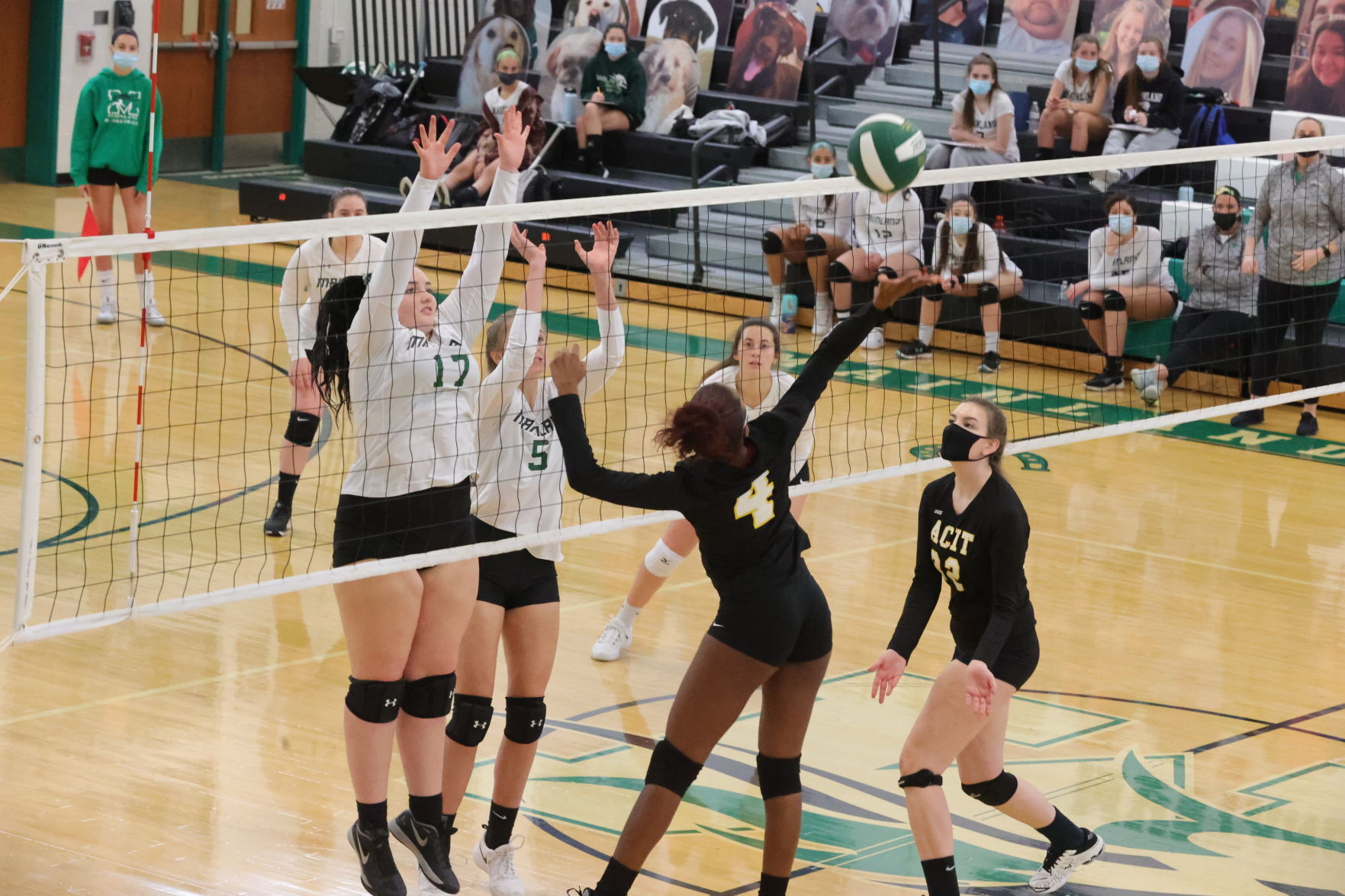 Mainland vs ACIT volleyball